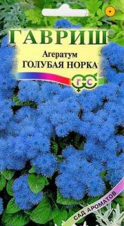 цветы Агератум Голубая норка ГАВРИШ