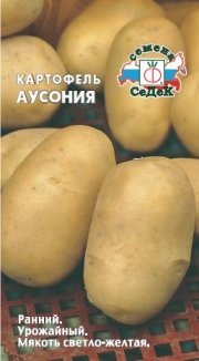 картофель Аусония СЕДЕК