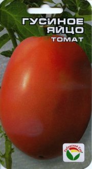 томат Гусиное яйцо СибСад