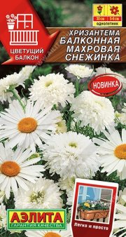 цветы Хризантема Махровая снежинка балконная АЭЛИТА