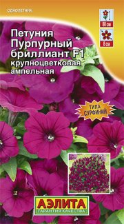цветы Петуния Пурпурный Бриллиант F1 АЭЛИТА