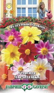 цветы Георгина Чародейка смесь ГАВРИШ