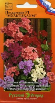 цветы Пеларгония Мультиблум смесь НК ПРОФИ