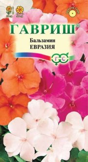 цветы Бальзамин Евразия  ГАВРИШ