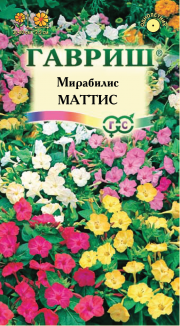 цветы Мирабилис Матис смесь ГАВРИШ