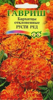 цветы Бархатцы Русти Ред ГАВРИШ