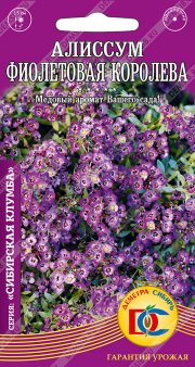 цветы Алиссум Фиолетовая королева  /0,05 гр Дем Сиб/