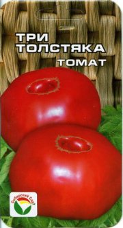 томат Три толстяка СибСад