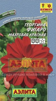 цветы Георгина Фигаро красная махровый АЭЛИТА