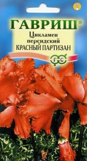 цветы Цикламен Красный партизан ГАВРИШ