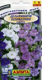 цветы Дельфиниум Белладонна смесь АЭЛИТА