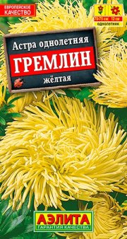 цветы Астра Гремлин желтая АЭЛИТА