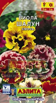цветы Виола Шалун АЭЛИТА