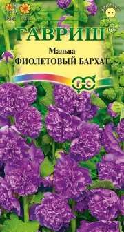 цветы Мальва Фиолетовый бархат ГАВРИШ