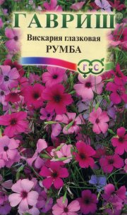 цветы Вискария глазковая Румба ГАВРИШ