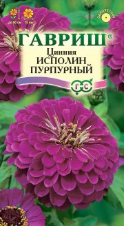 цветы Цинния Исполин пурпурный ГАВРИШ