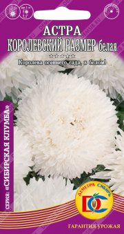 цветы Астра Королевский Размер Белая /0,2 гр Дем Сиб/