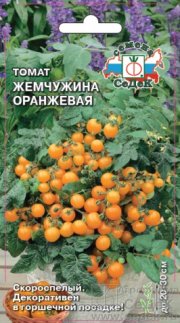 томат Жемчужина Оранжевая СЕДЕК