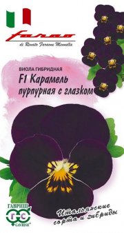 цветы Виола Виттрока Карамель пурпурная с глазком ГАВРИШ