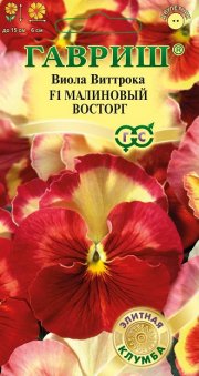 цветы Виола Виттрока Малиновый восторг F1 ГАВРИШ