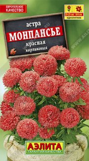 цветы Астра Монпансье красная АЭЛИТА
