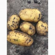 картофель Крона 2 кг