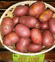 картофель Ред Соня 2 кг