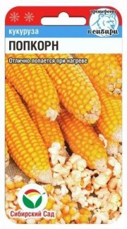 Кукуруза Попкорн 10шт СибСад
