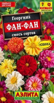 цветы Георгина Фан-фан, смесь сортов АЭЛИТА