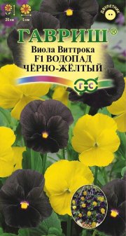 цветы Виола Виттрока Водопад черно-желтый F1ГАВРИШ