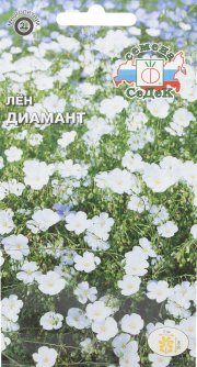 цветы Лен Диамант (многолетний, белый) СЕДЕК