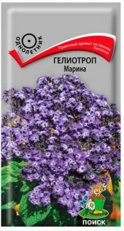 цветы Гелиотроп Марина ПОИСК