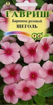 цветы Барвинок розовый Щеголь Катарантус ГАВРИШ
