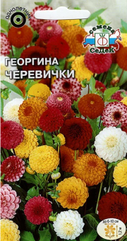 цветы Георгина Черевички (высокор.помпонная смесь цветов) СЕДЕК