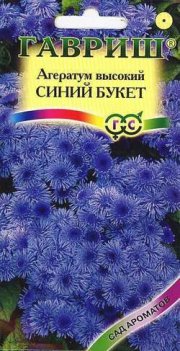 цветы Агератум Синий букет ГАВРИШ