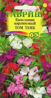цветы Бальзамин Том Тамб (садовый) карлик.ГАВРИШ