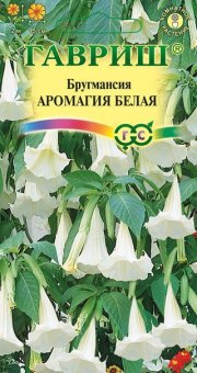 цветы Бругмансия Аромагия белая ГАВРИШ