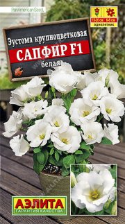 цветы Эустома Сапфир F1 белая крупноцветковая АЭЛИТА