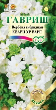 цветы Вербена Кварц ХР Вайт ГАВРИШ