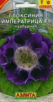 цветы Глоксиния Императрица пурпурная F1 АЭЛИТА