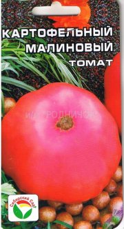 томат Картофельный малиновый СибСад