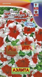 цветы Петуния Александра АЭЛИТА