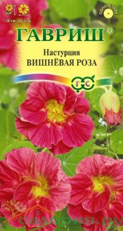 цветы Настурция Вишневая роза ГАВРИШ