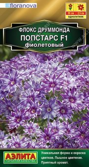 цветы Флокс Попстарс F1 фиолетовый  друммонда АЭЛИТА