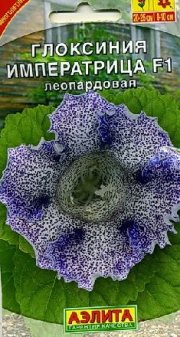 цветы Глоксиния Императрица леопардовая АЭЛИТА