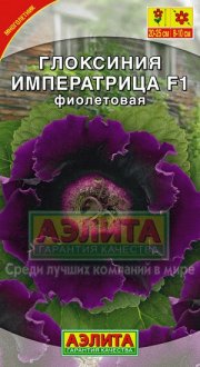 цветы Глоксиния Императрица фиолетовая АЭЛИТА