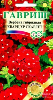 цветы Вербена Кварц ХР Скарлет ГАВРИШ