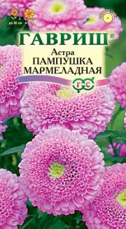 цветы Астра Пампушка мармеладная ГАВРИШ