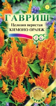 цветы Целозия перистая Кимоно Оранж ГАВРИШ