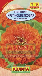 цветы Цинния Крупноцветковая оранжевая АЭЛИТА